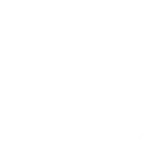 image du logo Instagram de couleur blanche