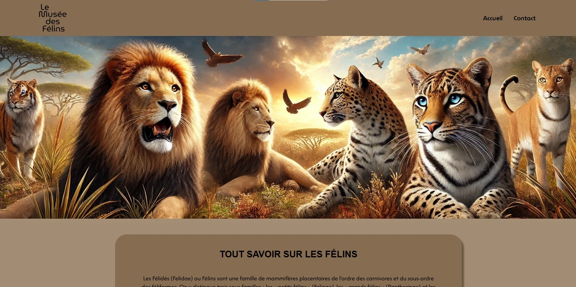 capture d'écran d'un projet perso le musée des félins