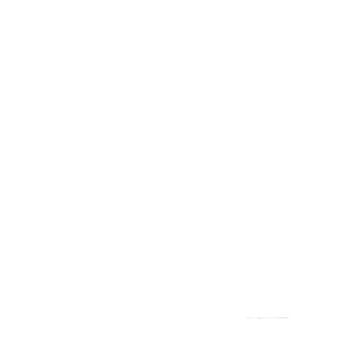 image du logo Linkedin de couleur blanche